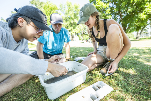 Three students sit on the grassy ground and look into small small bucket holding their sample of water.
