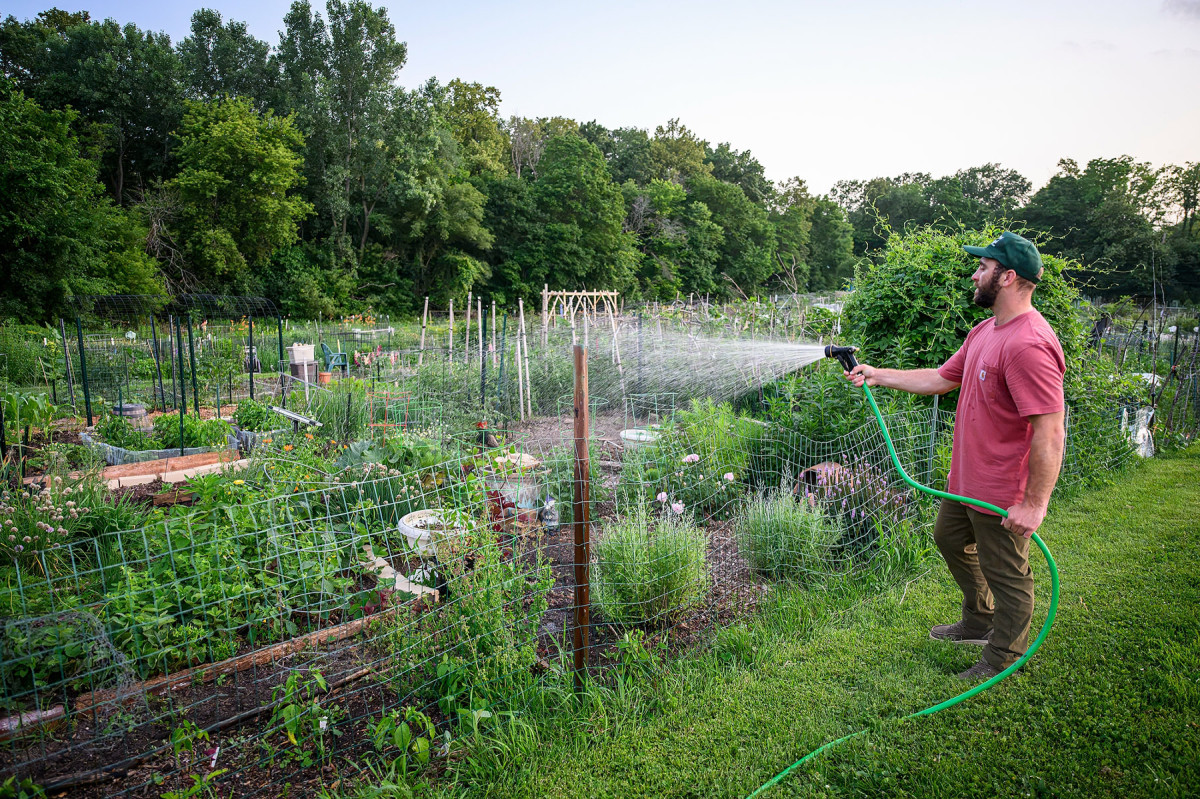 A man wearing a baseball cap waters a large fenced-in garden with a hose