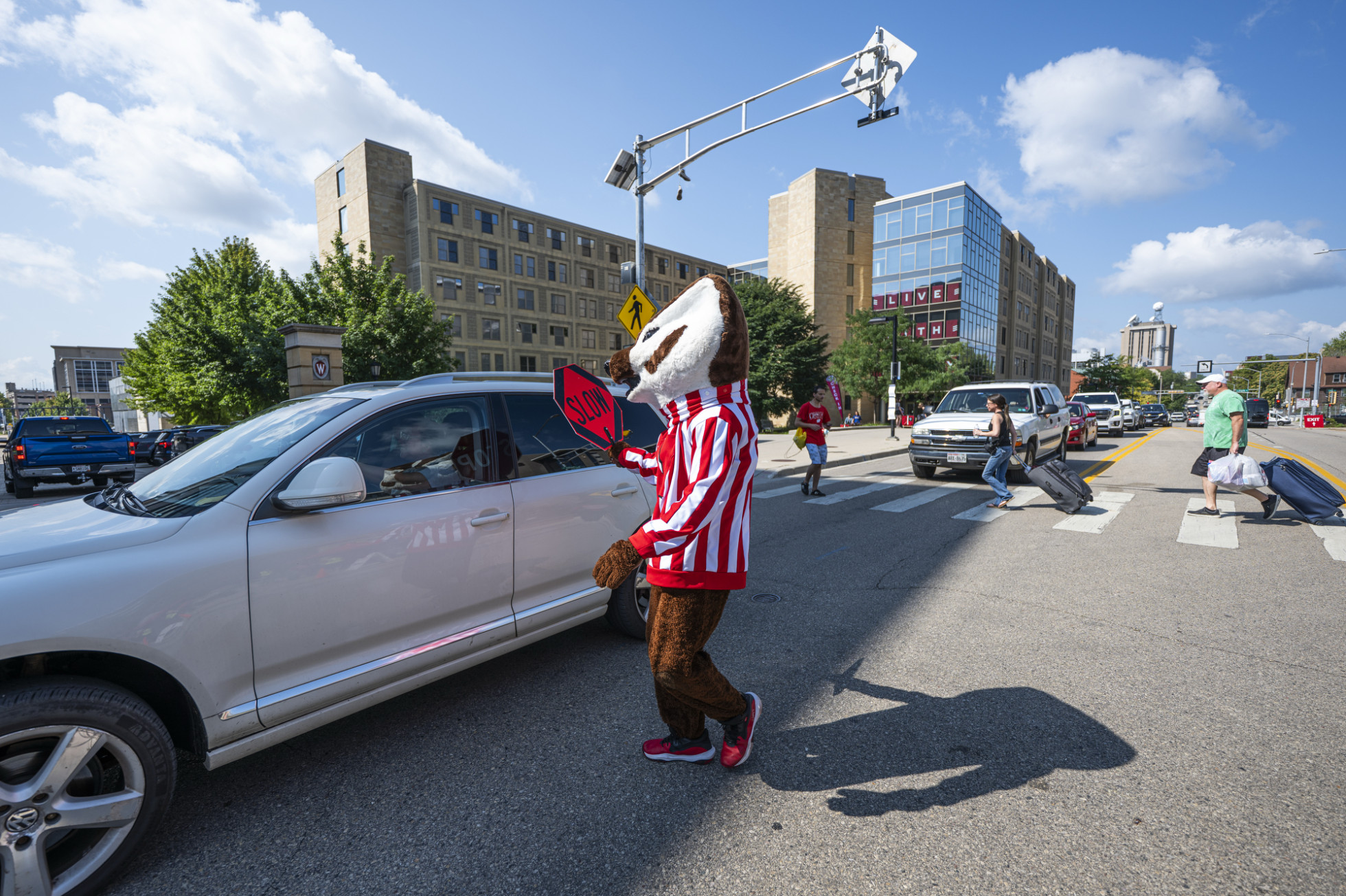 Bucky Backer stands in the middle of a street and holds a stop sign up to a car passing through traffic.