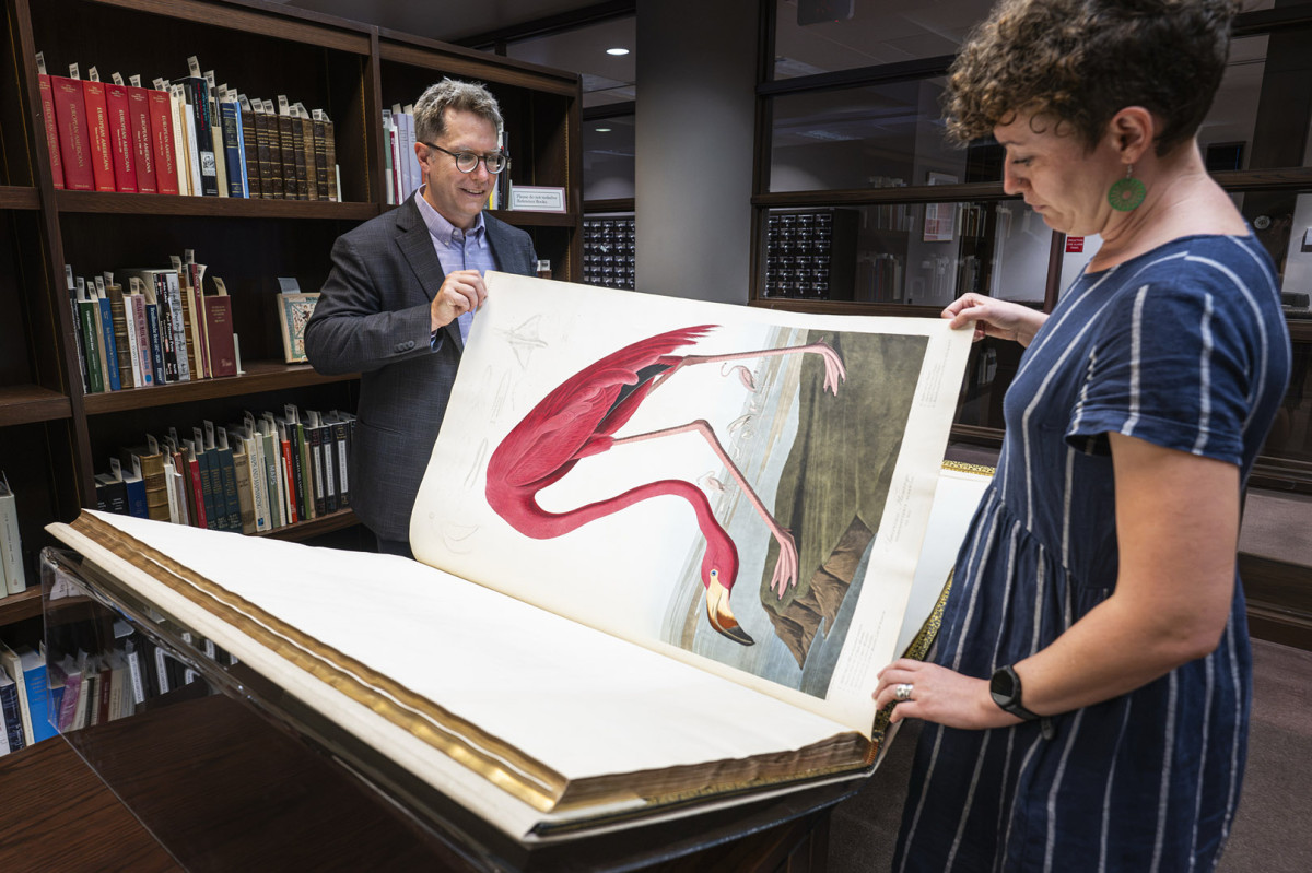 Two people carefully hold the edges of a page in a large book depicting a drawing of a pink flamingo.