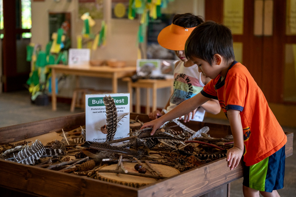 Two young boys stand at a small table filled with bird feathers of different colors and sizes.