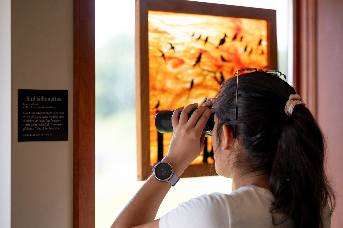 A woman holds binoculars to her face and looks through the scope to see an exhibit handing on a wall.