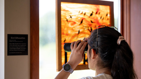 A woman holds binoculars to her face and looks through the scope to see an exhibit handing on a wall.
