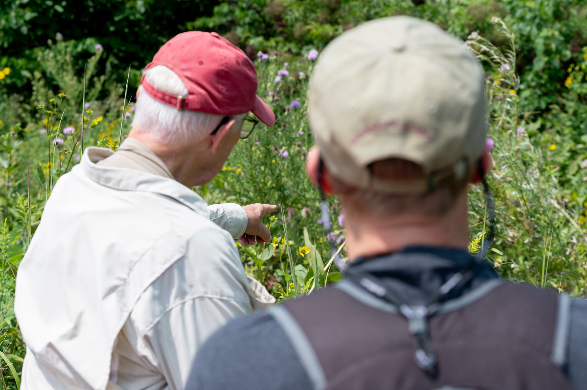 A man points to native flower while another man stands behind him listening to his description of the plant.