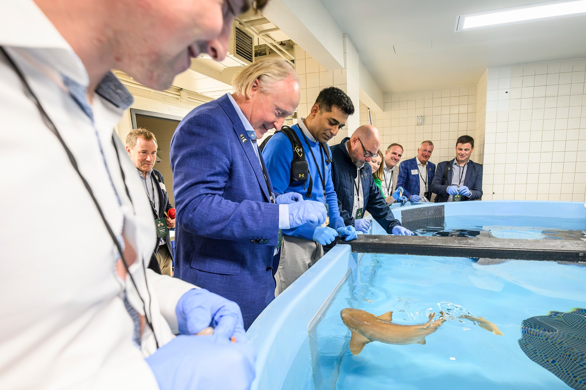 A member of the delegation holds out shrimp for a nurse shark in a large tank. 