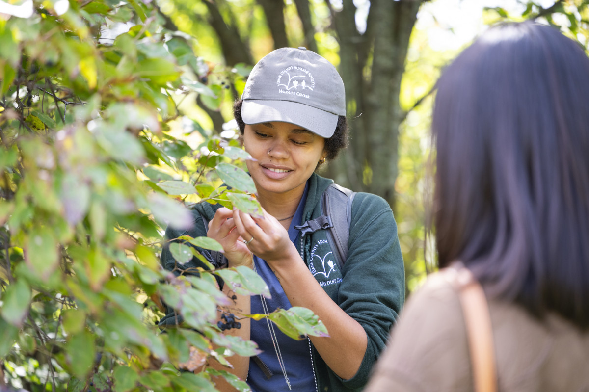 A UW grad student holds a leaf on a branch in her hands and observes it up close with a small magnifying glass. 