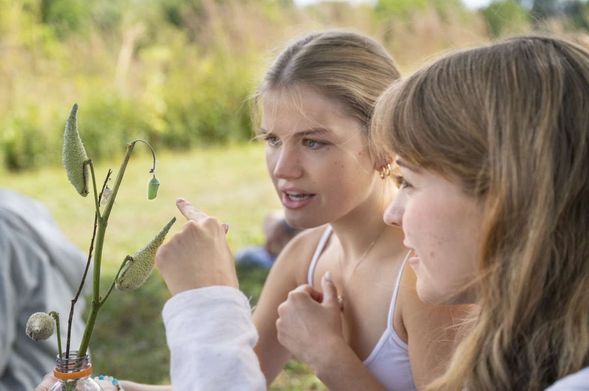 Two students look at a cocoon hanging from a milkweed plant.