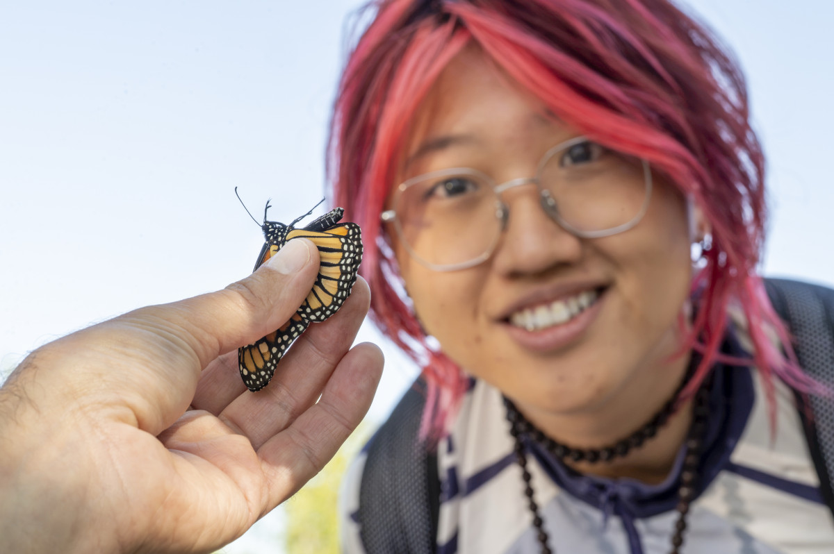 A student looks on as a person holds a monarch butterfly in their hand.