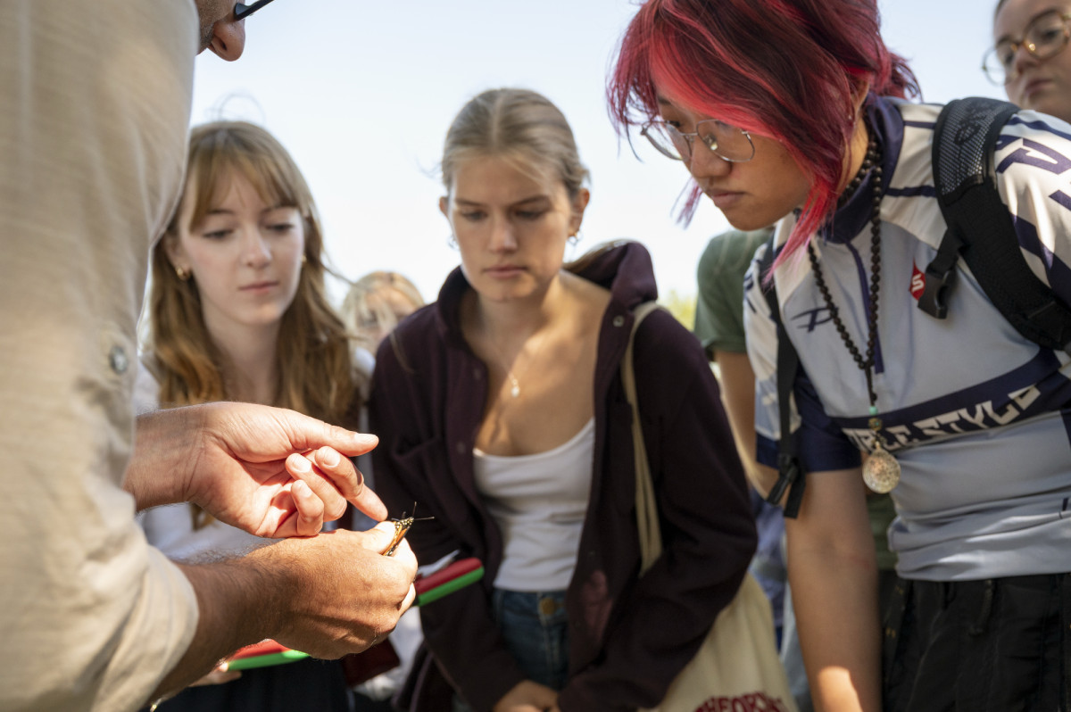 Mcgee holds a monarch in his hands and shows off the butterfly's patterns to students gathered around him.