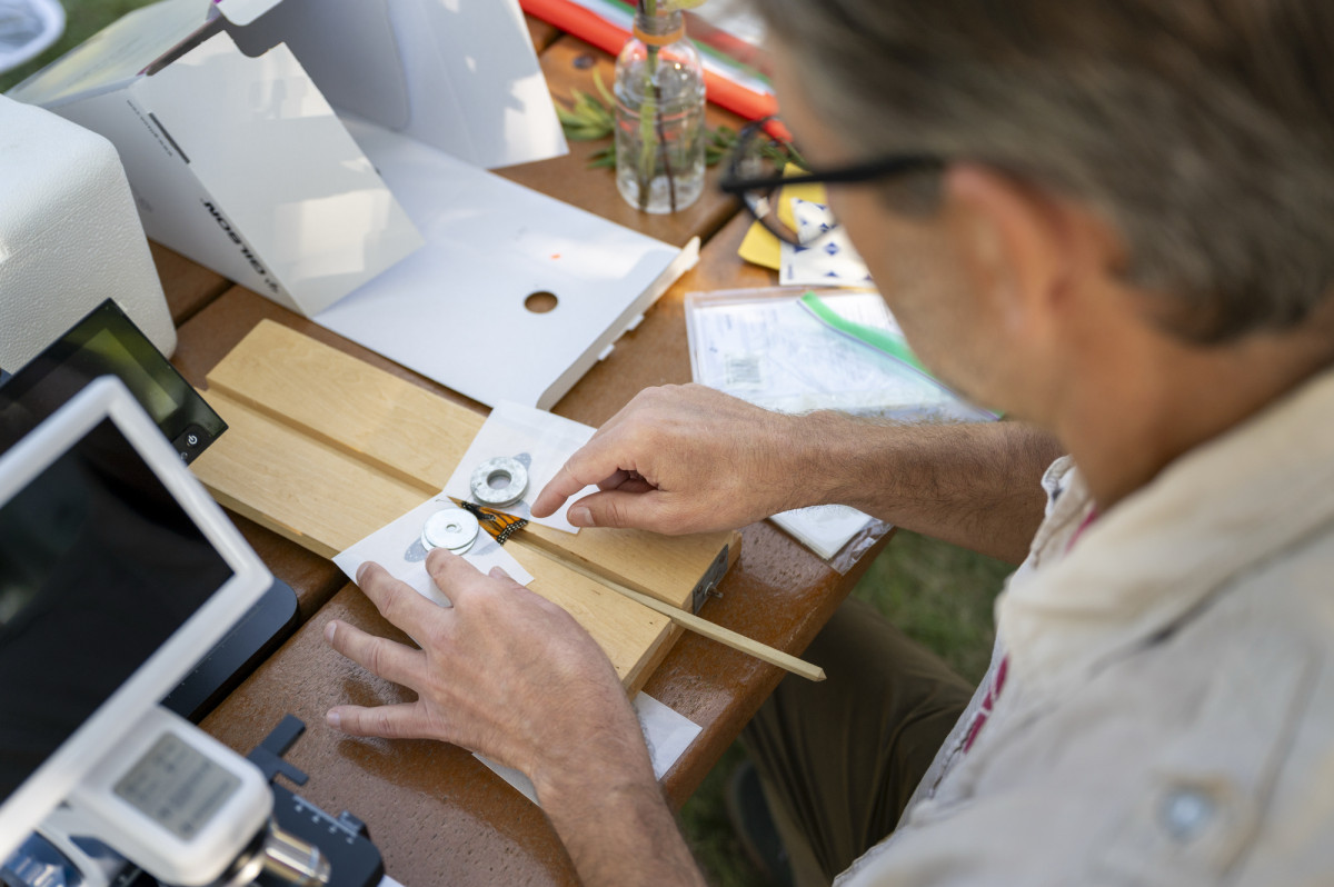Mcgee sits at a table and carefully adds a tracker to a monarch butterfly's wings.