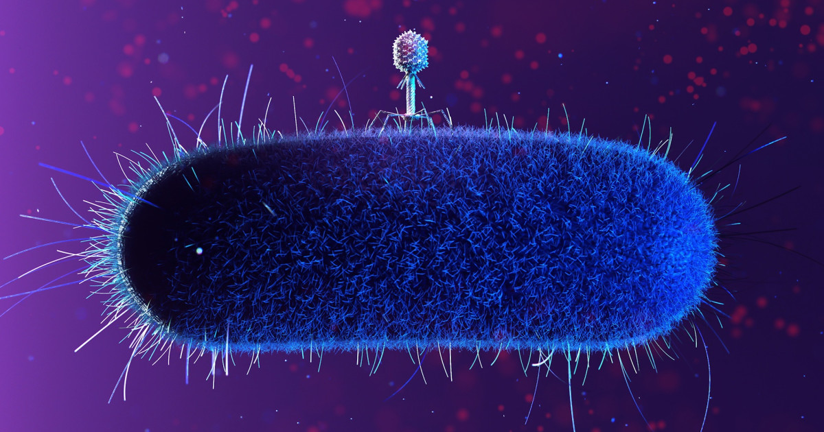 Enlisting AI in the fight against drug-resistant bacteria