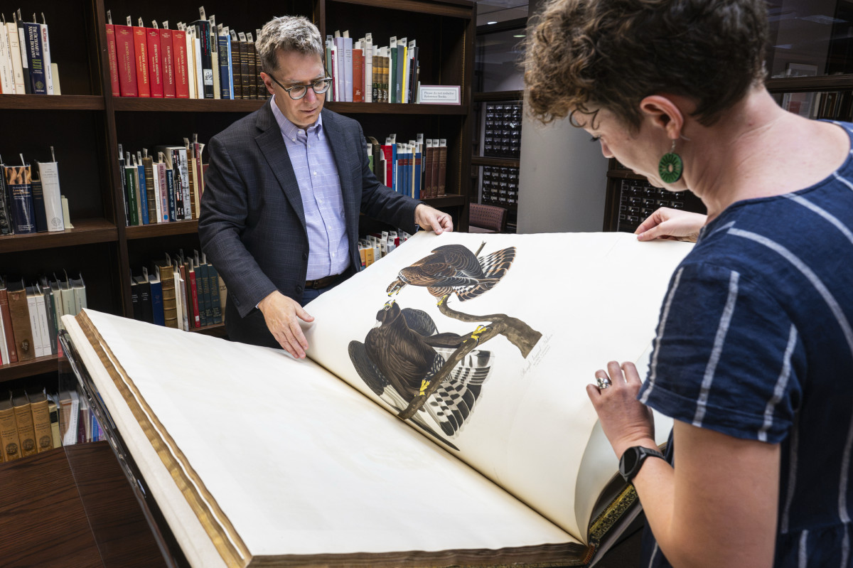 Two people look at the page of an oversized book with illustrated birds.