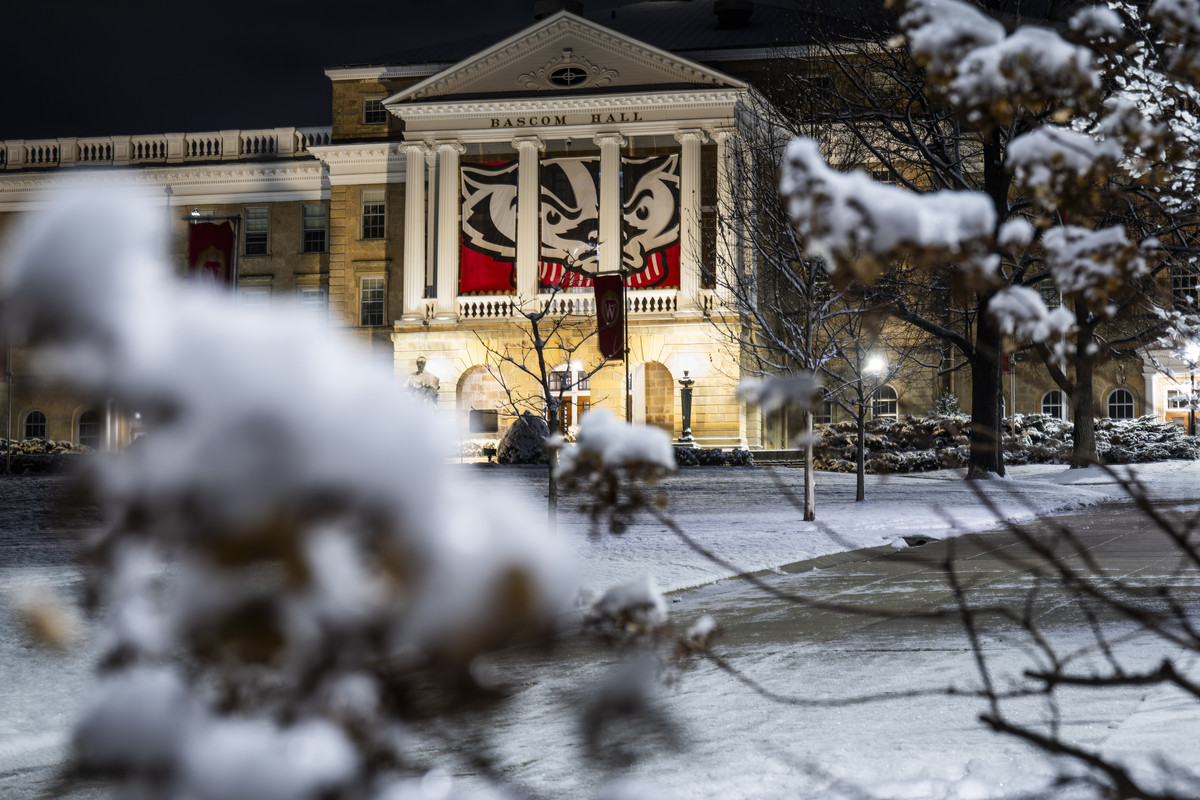 Bascom Hall is framed by a snowy tree after a snowstorm.