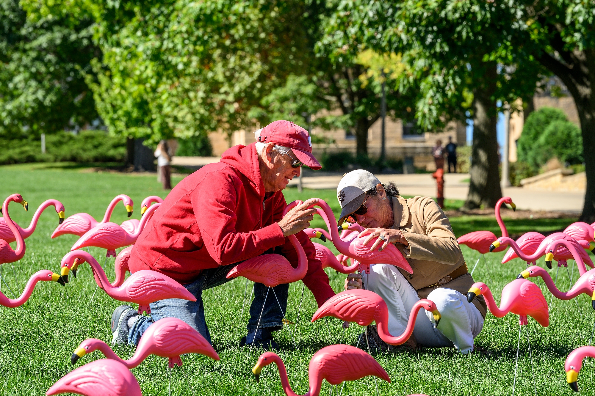 A couple crouches down on the lawn of Bascom Hill as they place a pink flamingo in the ground.