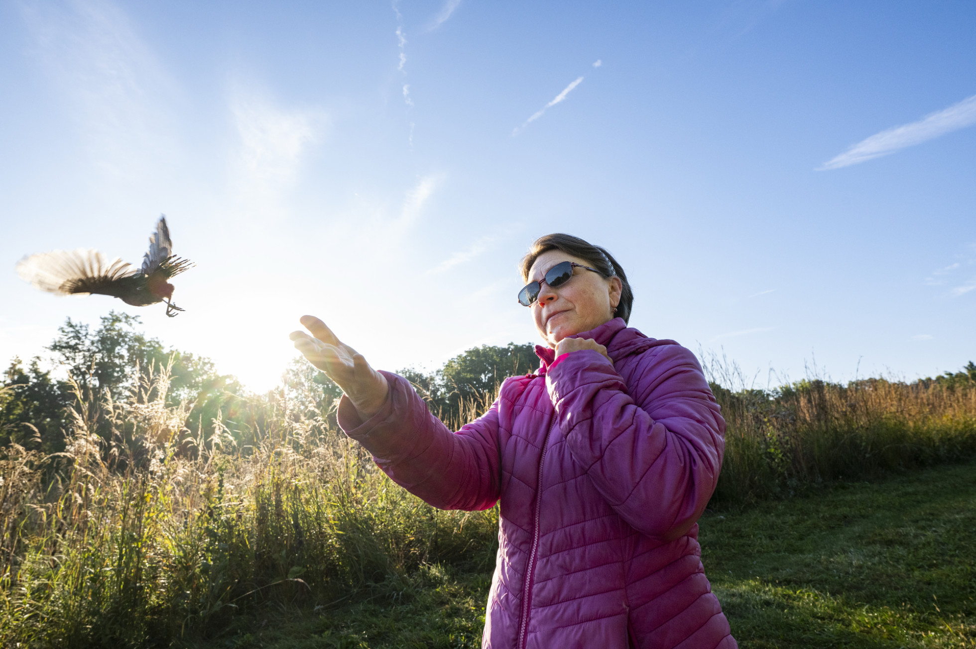 A volunteer lifts their arms to release a bird that flies out of their hands.