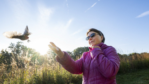 A volunteer lifts their arms to release a bird that flies out of their hands.