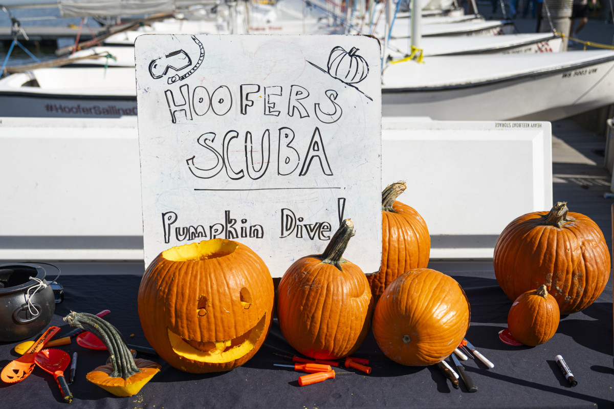 A whiteboard sign reading Hoofer SCUBA Pumpkin Dive rests on a table along with various carved and un-carved pumpkins.