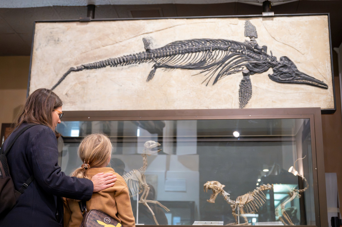 A mother and daughter stand in front of a fossil of an ichthyosaur skeleton on display at the UW Geology Museum.