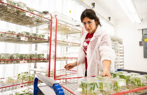 Image for twitter card