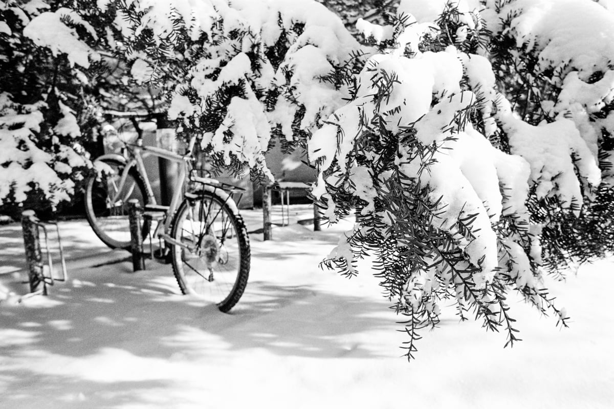 Photo of a bike in the snow